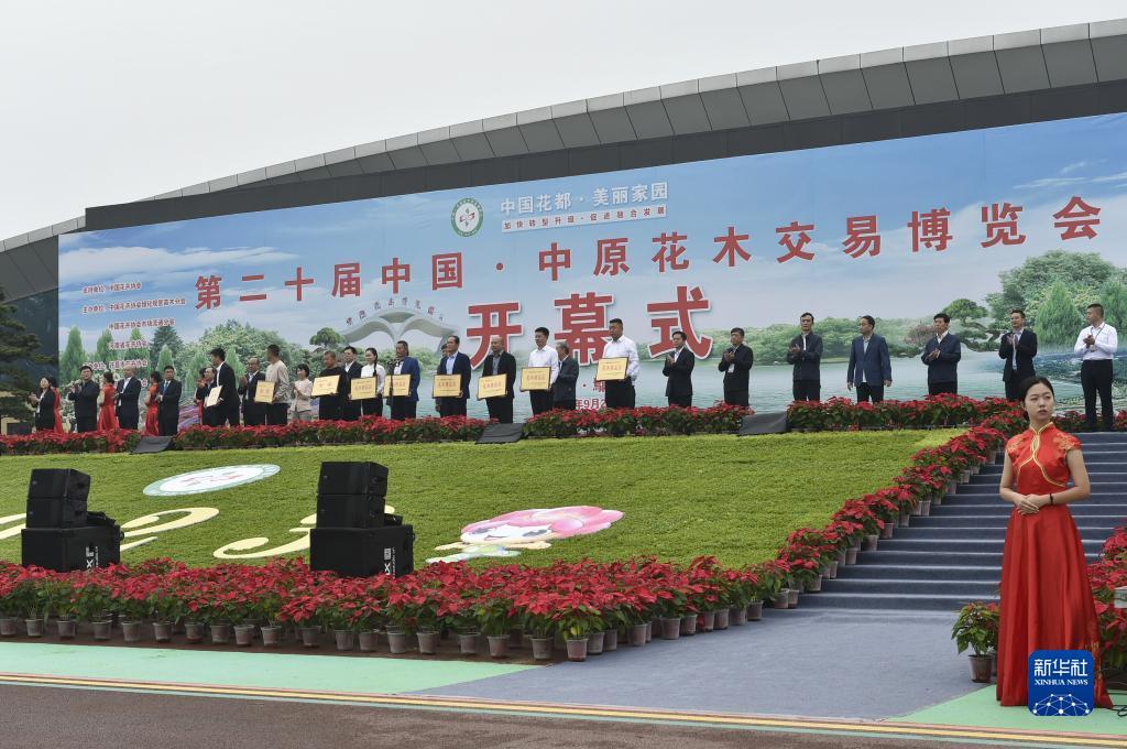 越南老街赌场有几个